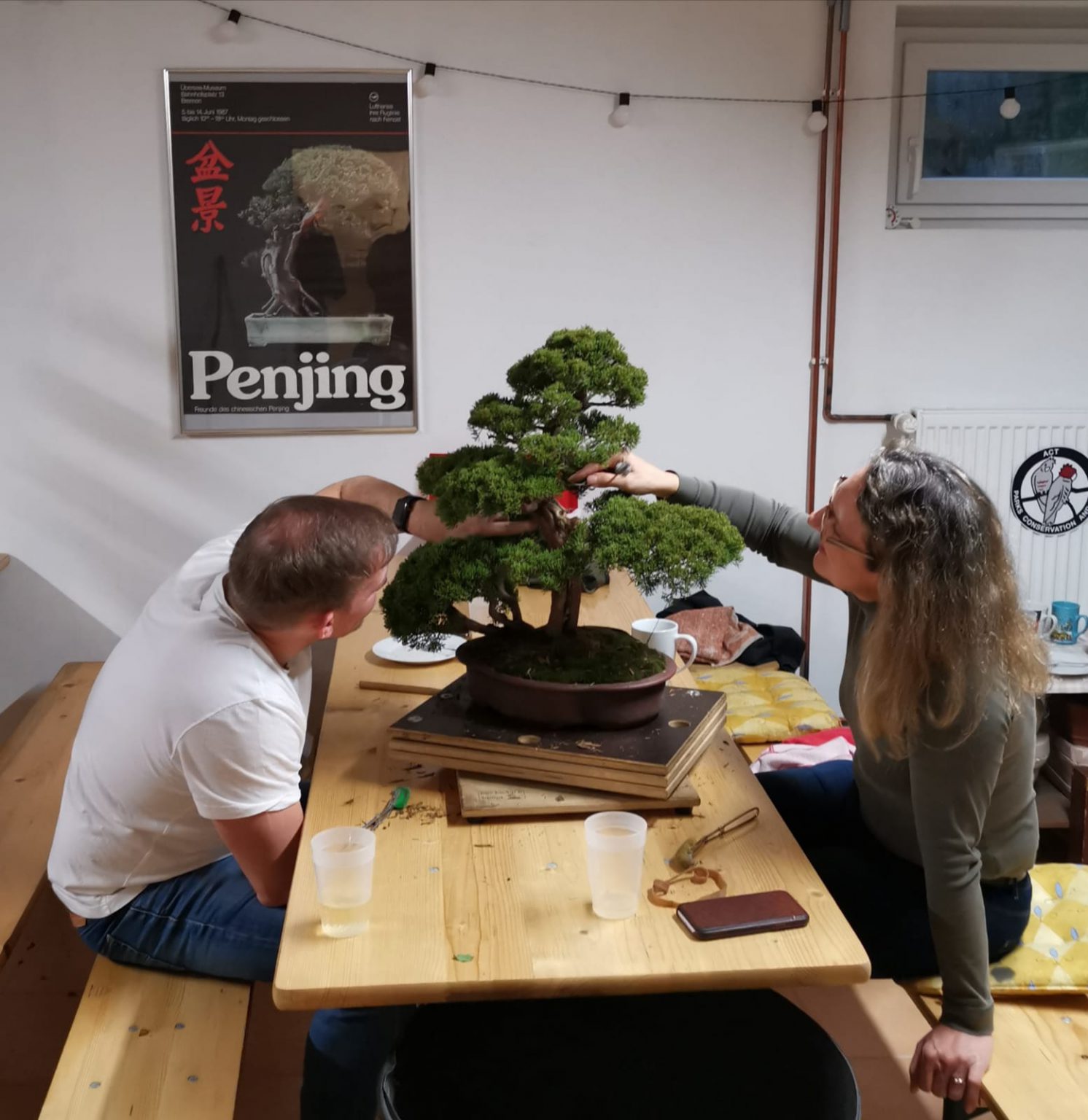 BonsaiArbeitskreis Hamburg und Umland